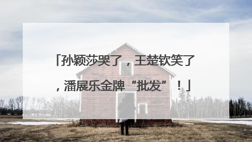 孙颖莎哭了，王楚钦笑了，潘展乐金牌“批发”！