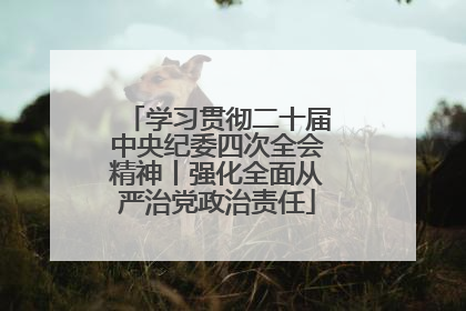 学习贯彻二十届中央纪委四次全会精神丨强化全面从严治党政治责任