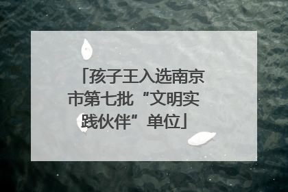 孩子王入选南京市第七批“文明实践伙伴”单位