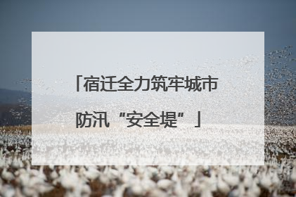宿迁全力筑牢城市防汛“安全堤”