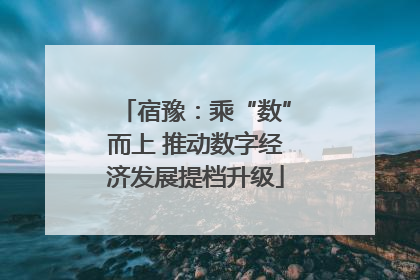 宿豫：乘“数”而上 推动数字经济发展提档升级