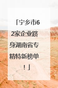 宁乡市62家企业跻身湖南省专精特新榜单！