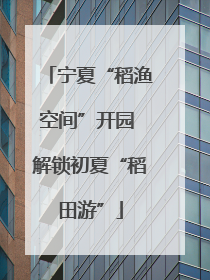 宁夏“稻渔空间”开园 解锁初夏“稻田游”