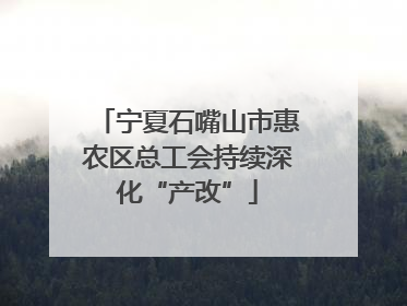 宁夏石嘴山市惠农区总工会持续深化“产改”