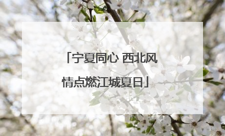 宁夏同心 西北风情点燃江城夏日