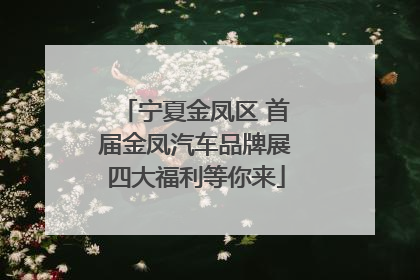 宁夏金凤区 首届金凤汽车品牌展四大福利等你来