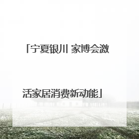 宁夏银川 家博会激活家居消费新动能