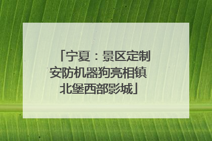 宁夏：景区定制安防机器狗亮相镇北堡西部影城