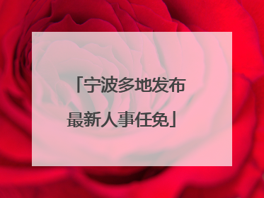 宁波多地发布最新人事任免
