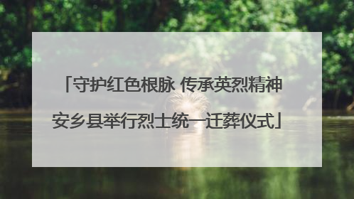 守护红色根脉 传承英烈精神 安乡县举行烈士统一迁葬仪式