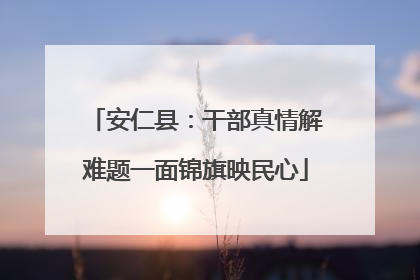 安仁县：干部真情解难题一面锦旗映民心