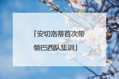 安切洛蒂首次带领巴西队集训