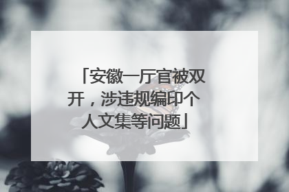 安徽一厅官被双开，涉违规编印个人文集等问题