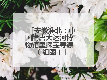 安徽淮北：中国隋唐大运河博物馆里探宝寻源（组图）