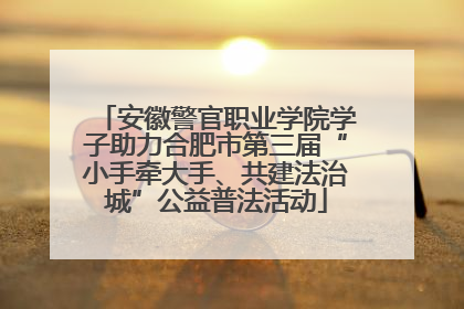 安徽警官职业学院学子助力合肥市第三届“小手牵大手、共建法治城”公益普法活动