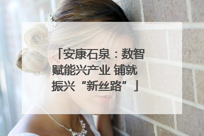 安康石泉：数智赋能兴产业 铺就振兴“新丝路”