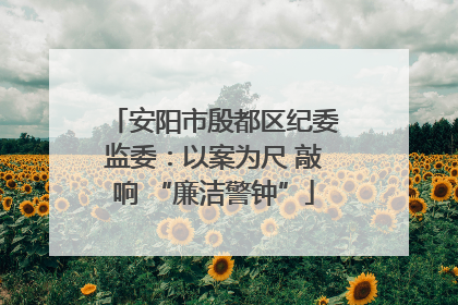 安阳市殷都区纪委监委：以案为尺 敲响 “廉洁警钟”
