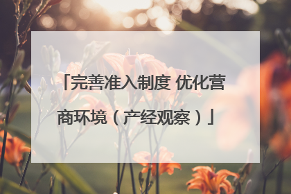 完善准入制度 优化营商环境（产经观察）