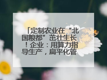 定制农业在“北国粮都”茁壮生长！企业：用算力指导生产，扁平化管理种地