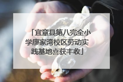 宜章县第八完全小学廖家湾校区劳动实践基地喜获丰收