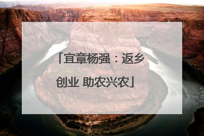 宜章杨强：返乡创业 助农兴农