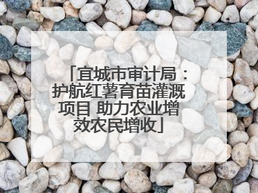 宜城市审计局：护航红薯育苗灌溉项目 助力农业增效农民增收