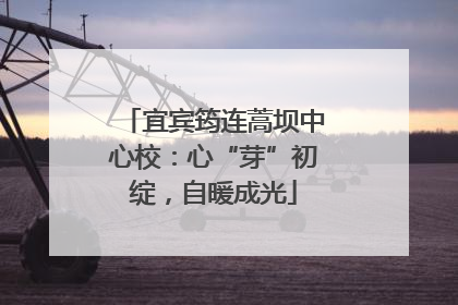 宜宾筠连蒿坝中心校：心“芽”初绽，自暖成光