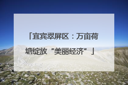 宜宾翠屏区：万亩荷塘绽放“美丽经济”
