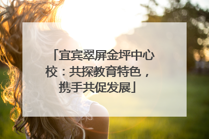 宜宾翠屏金坪中心校：共探教育特色，携手共促发展