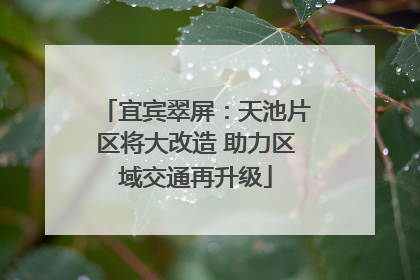 宜宾翠屏：天池片区将大改造 助力区域交通再升级