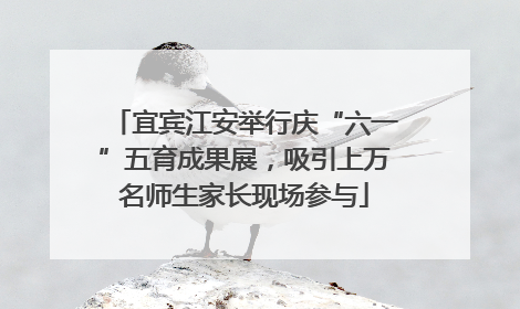 宜宾江安举行庆“六一”五育成果展，吸引上万名师生家长现场参与