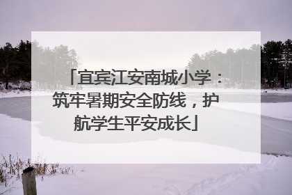 宜宾江安南城小学：筑牢暑期安全防线，护航学生平安成长