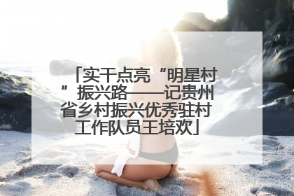 实干点亮“明星村”振兴路——记贵州省乡村振兴优秀驻村工作队员王培欢