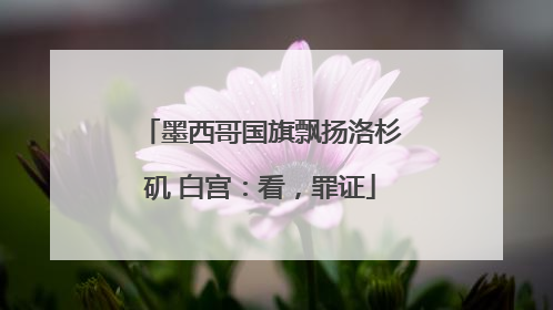 墨西哥国旗飘扬洛杉矶 白宫：看，罪证