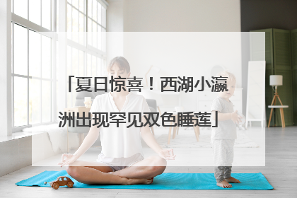 夏日惊喜！西湖小瀛洲出现罕见双色睡莲