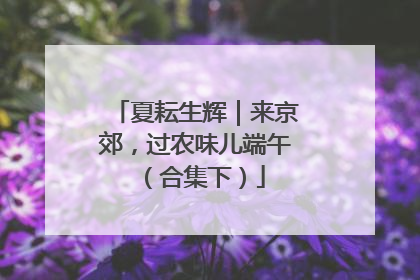 夏耘生辉｜来京郊，过农味儿端午（合集下）