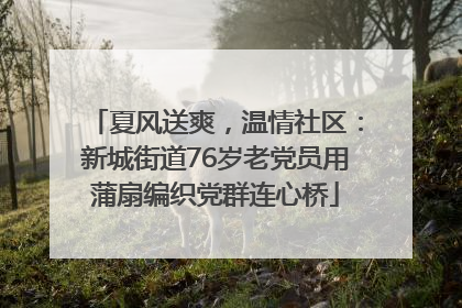 夏风送爽，温情社区：新城街道76岁老党员用蒲扇编织党群连心桥