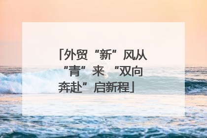 外贸“新”风从“青”来 “双向奔赴”启新程