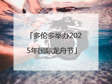 多伦多举办2025年国际龙舟节
