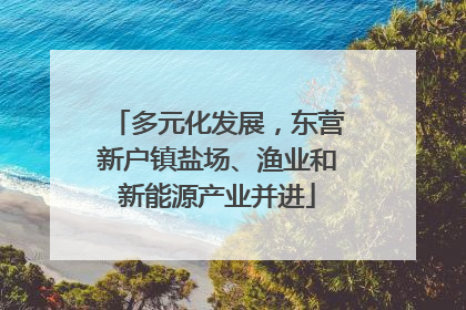 多元化发展，东营新户镇盐场、渔业和新能源产业并进