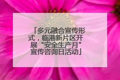 多元融合宣传形式，临港新片区开展“安全生产月”宣传咨询日活动