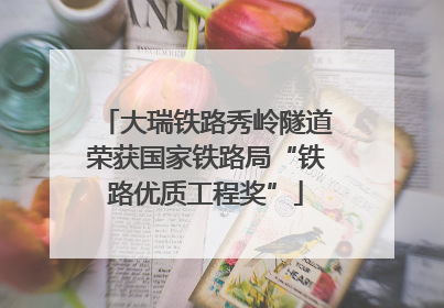 大瑞铁路秀岭隧道荣获国家铁路局“铁路优质工程奖”