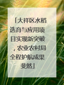 大祥区水稻选育与应用项目实现新突破，农业农村局全程护航成果斐然