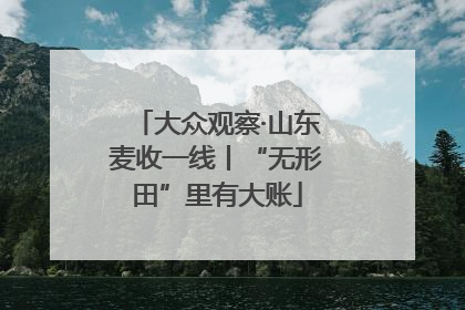 大众观察·山东麦收一线丨“无形田”里有大账