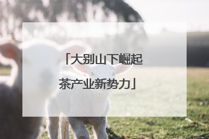 大别山下崛起茶产业新势力