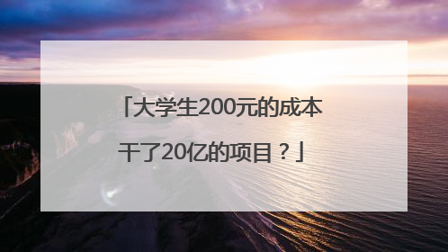 大学生200元的成本干了20亿的项目？