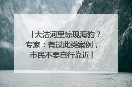 大沽河里惊现海豹？专家：有过此类案例，市民不要自行靠近