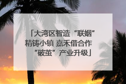 大湾区智造“联姻”精铸小镇 嘉禾借合作“破茧”产业升级