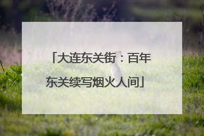 大连东关街：百年东关续写烟火人间