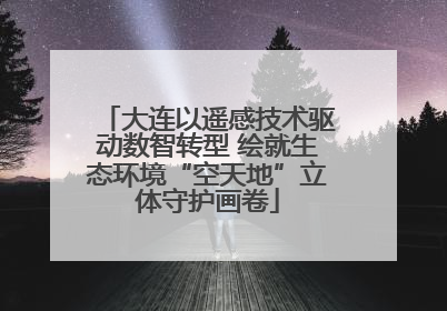 大连以遥感技术驱动数智转型 绘就生态环境“空天地”立体守护画卷